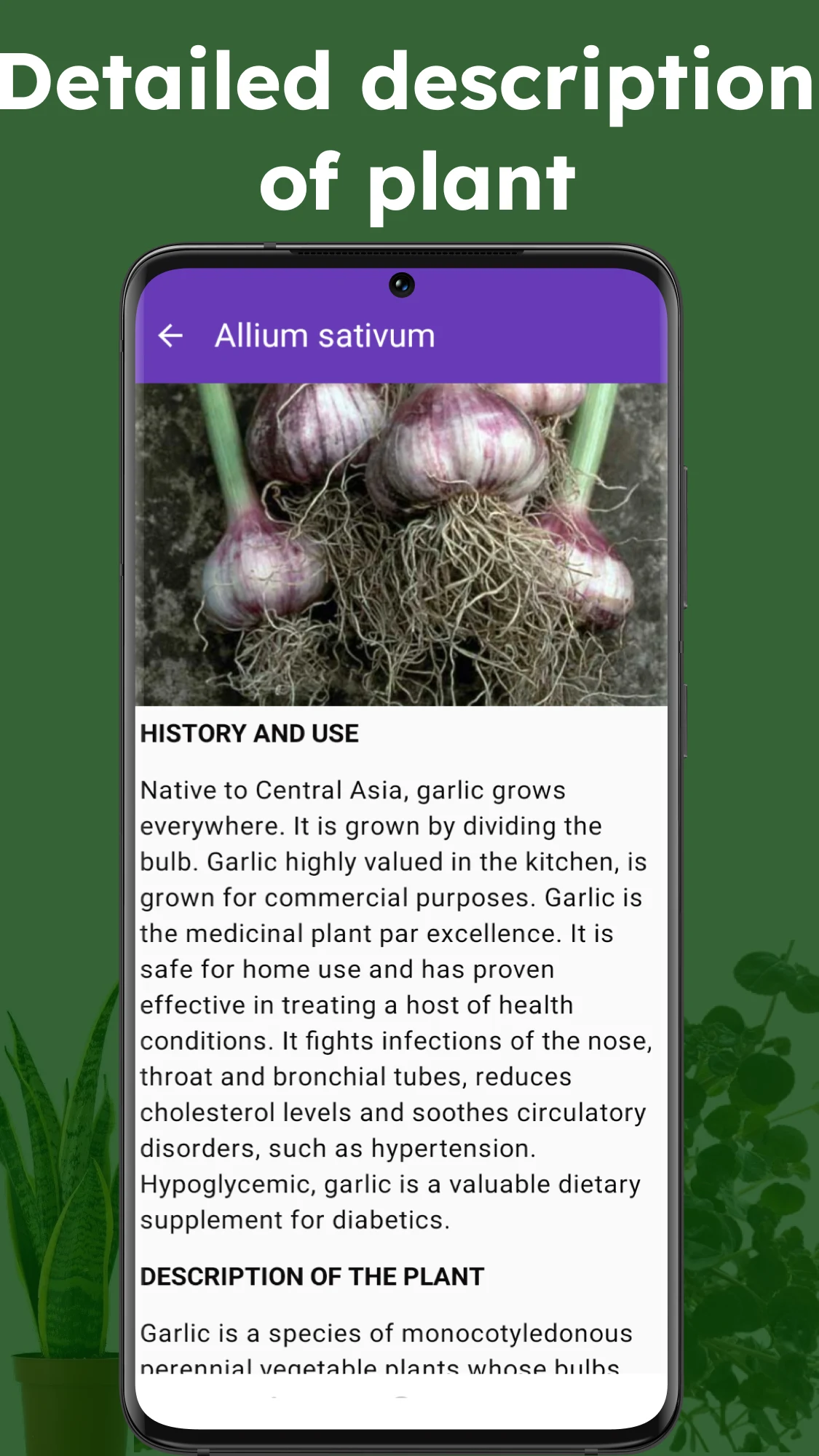 Medicinal plant identifier screenshot