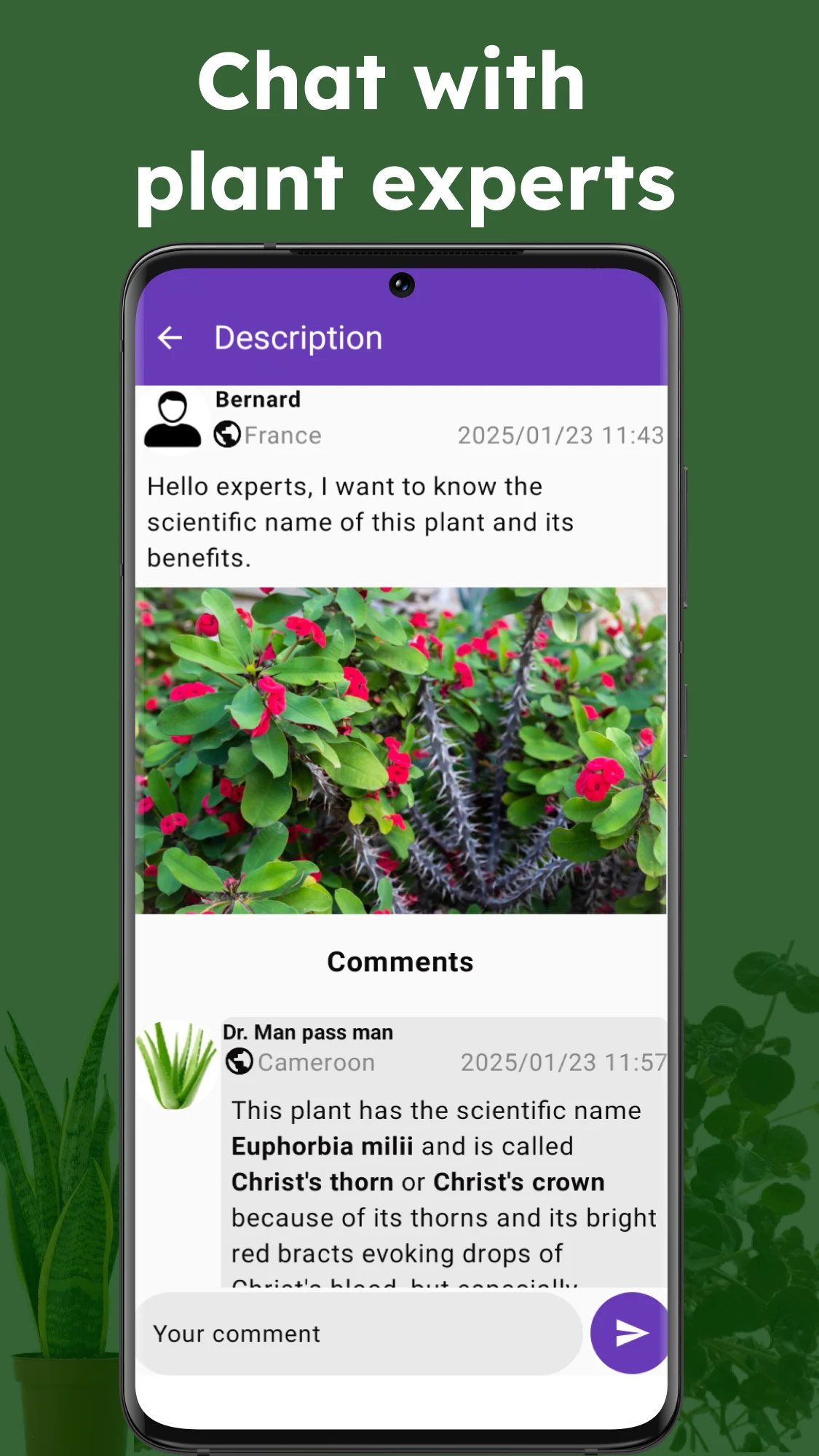 Medicinal plant identifier screenshot