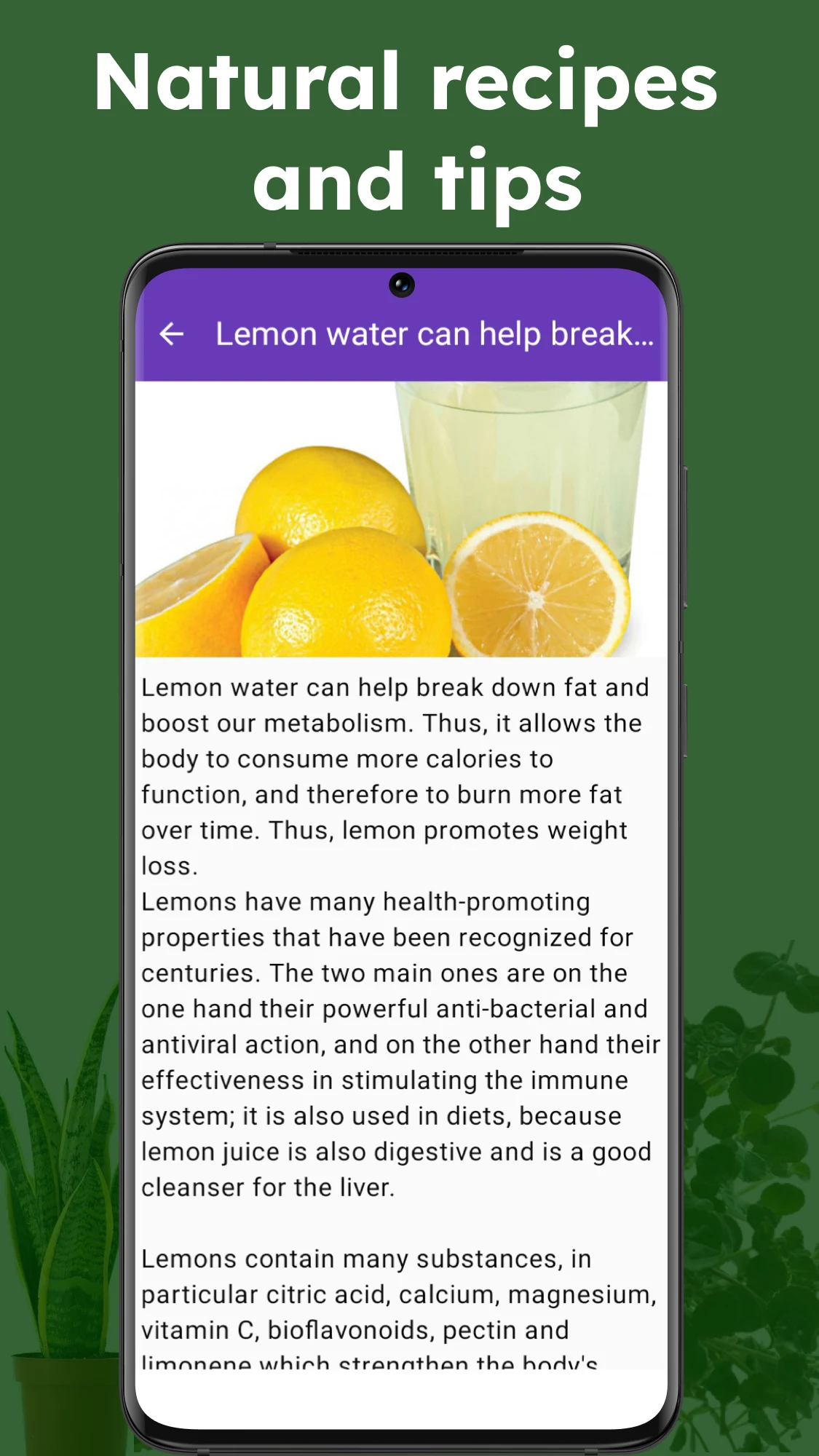 Medicinal plant identifier screenshot