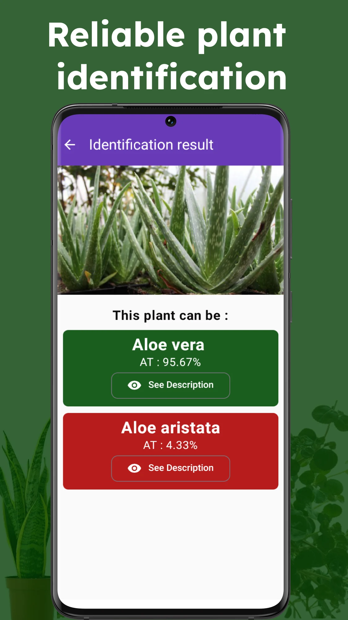 Medicinal plant identifier screenshot
