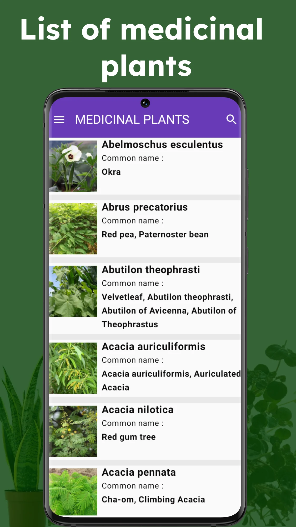 Medicinal plant identifier screenshot