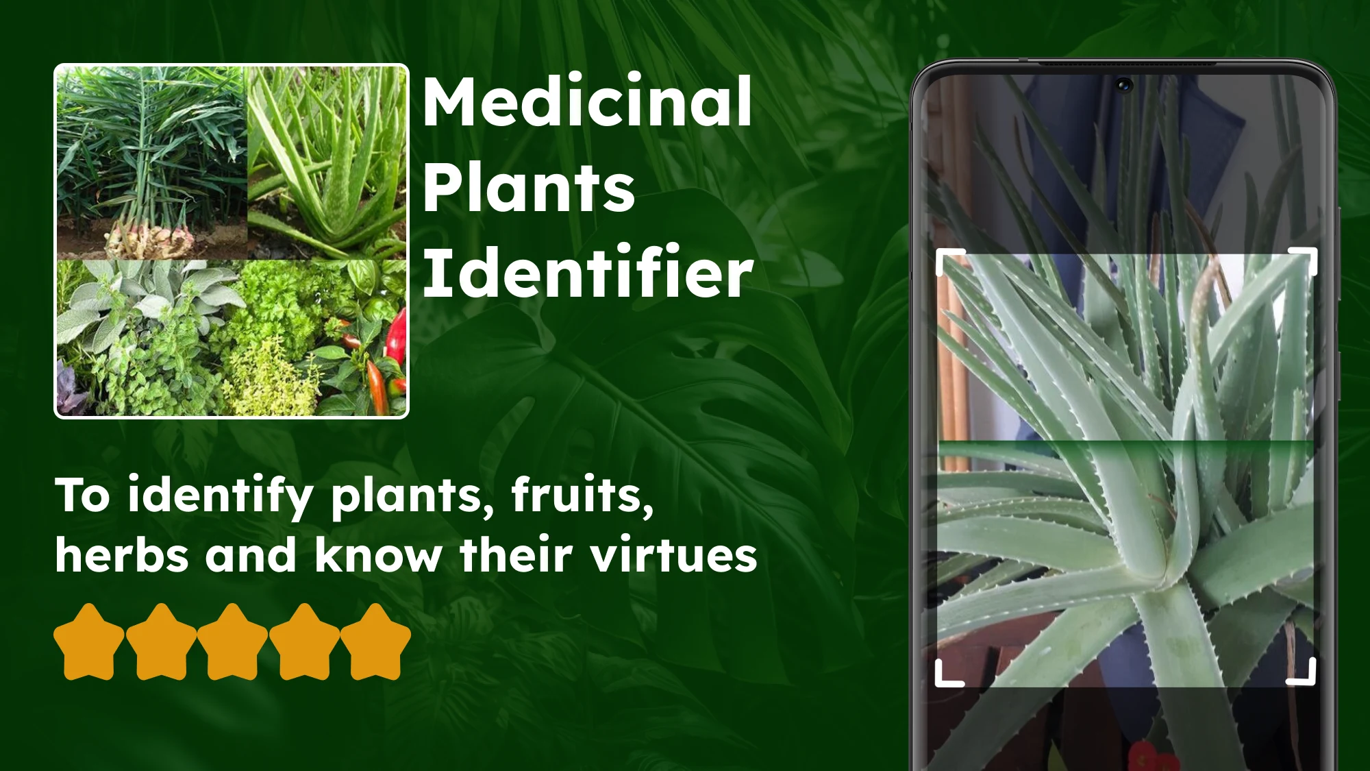 Medicinal plant identifier screenshot